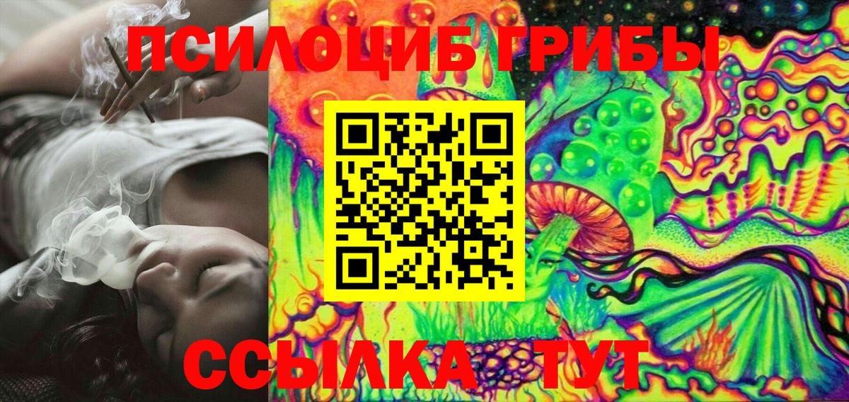 Псилоцибиновые грибы Psilocybine cubensis Златоуст