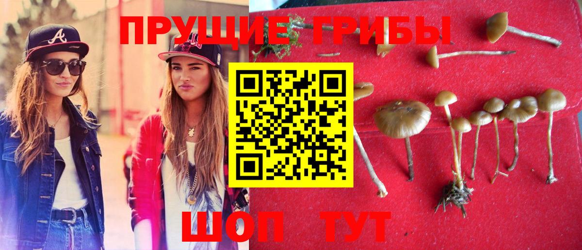 Галлюциногенные грибы MAGIC MUSHROOMS  Вход с VPN  Галлюциногенные грибы Psilocybe  Златоуст 